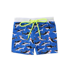 Load image into Gallery viewer, Kids Swimming Trunks