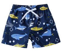 Load image into Gallery viewer, Kids Swim Shorts