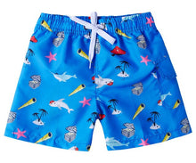 Load image into Gallery viewer, Kids Swim Shorts