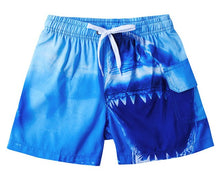 Load image into Gallery viewer, Fashion Kid Swimwear